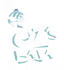 Oz's Baja Adventures Logo